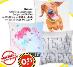 TEDi Kissen Angebot