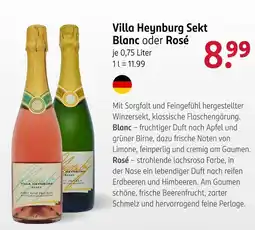 Rossmann Villa heynburg blanc oder rosé Angebot