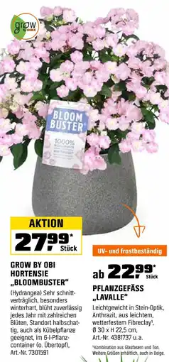 OBI Grow by obi hortensie „bloombuster“ oder pflanzgefäss „lavalle“ Angebot