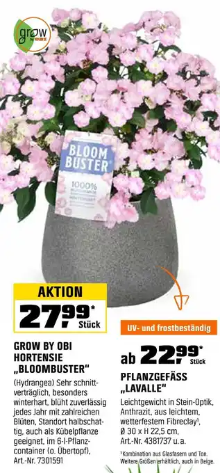 OBI Grow by obi hortensie „bloombuster“ oder pflanzgefäss „lavalle“ Angebot