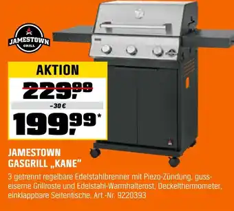 OBI Jamestown gasgrill „kane“ Angebot