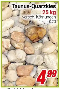 CENTERSHOP Taunus-Quarzkies Angebot