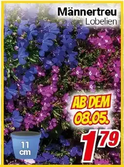 CENTERSHOP Männertreu Angebot