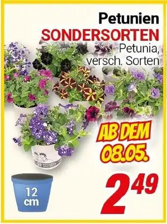 CENTERSHOP Petunien SONDERSORTEN Angebot