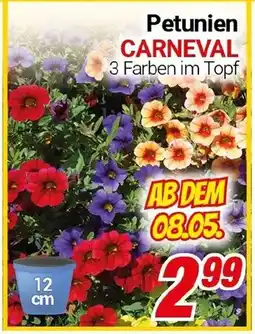 CENTERSHOP Petunien CARNEVAL Angebot