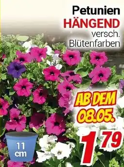 CENTERSHOP Petunien HÄNGEND Angebot