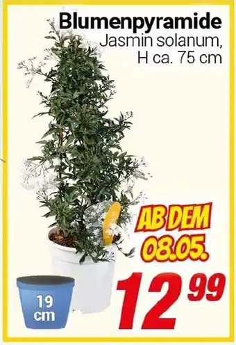 CENTERSHOP Blumenpyramide Angebot