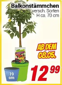 CENTERSHOP Balkonstämmchen Angebot