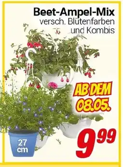 CENTERSHOP Beet-Ampel-Mix Angebot