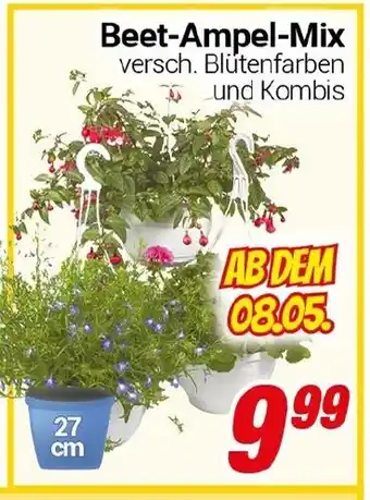 CENTERSHOP Beet-Ampel-Mix Angebot