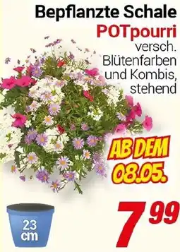 CENTERSHOP Bepflanzte Schale POTpourri Angebot