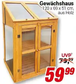 CENTERSHOP Gewächshaus Angebot