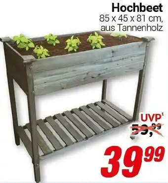 CENTERSHOP Hochbeet Angebot