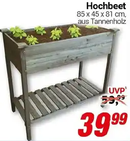 CENTERSHOP Hochbeet Angebot