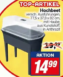 CENTERSHOP Hochbeet Angebot