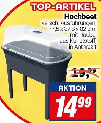 CENTERSHOP Hochbeet Angebot