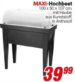 CENTERSHOP MAXI-Hochbeet Angebot