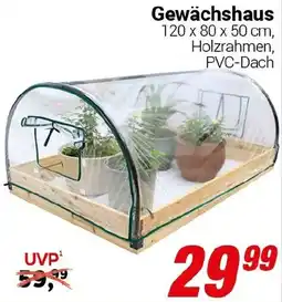 CENTERSHOP Gewächshaus Angebot
