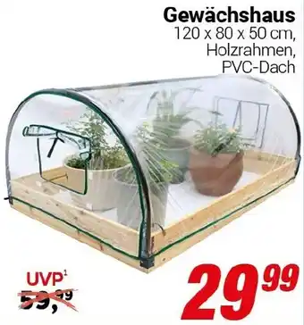 CENTERSHOP Gewächshaus Angebot