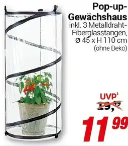 CENTERSHOP Pop-up Gewächshaus Angebot