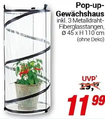 CENTERSHOP Pop-up Gewächshaus Angebot