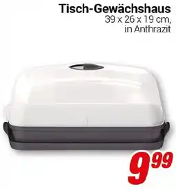 CENTERSHOP Tisch-Gewächshaus Angebot
