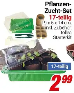 CENTERSHOP Pflanzen Zucht-Set Angebot