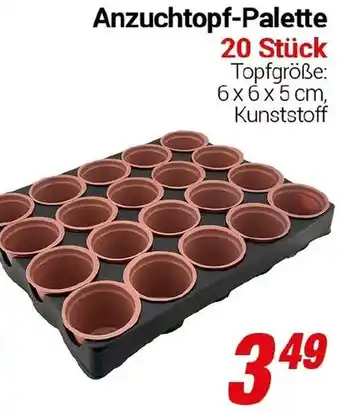 CENTERSHOP Anzuchtopf-Palette Angebot