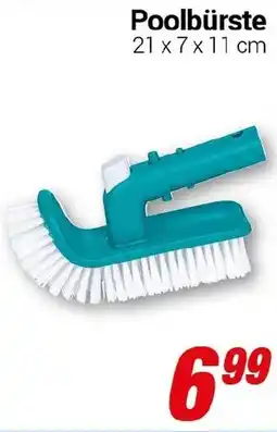 CENTERSHOP Poolbürste Angebot