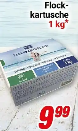 CENTERSHOP Flockkartusche Angebot