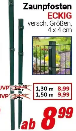 CENTERSHOP Zaunpfosten ECKIG Angebot