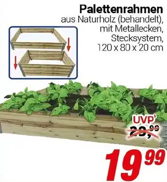 CENTERSHOP Palettenrahmen Angebot