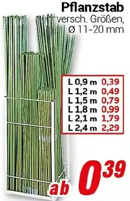 CENTERSHOP Pflanzstab Angebot