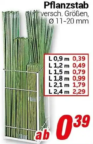 CENTERSHOP Pflanzstab Angebot