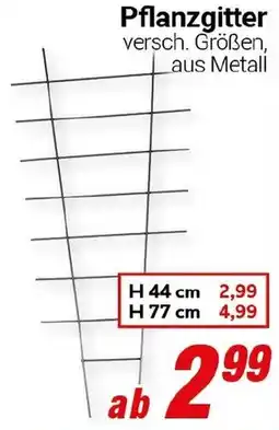 CENTERSHOP Pflanzgitter Angebot