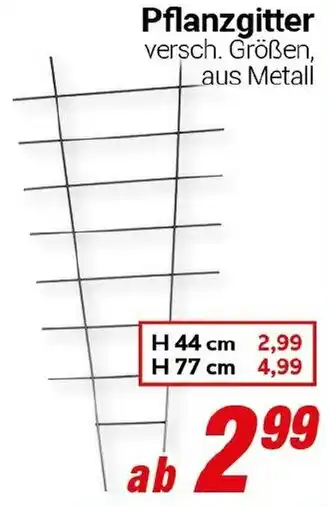 CENTERSHOP Pflanzgitter Angebot