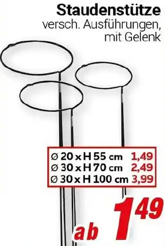 CENTERSHOP Staudenstütze Angebot