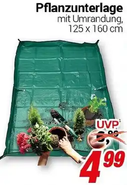 CENTERSHOP Pflanzunterlage Angebot