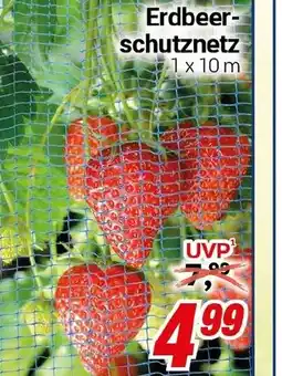 CENTERSHOP Erdbeerschutznetz Angebot