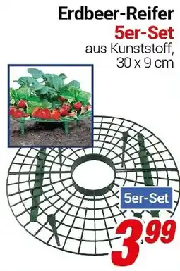 CENTERSHOP Erdbeer-Reifer Angebot