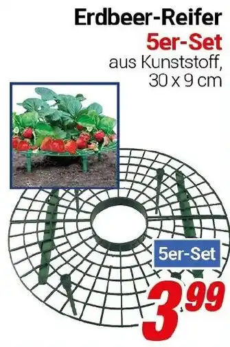 CENTERSHOP Erdbeer-Reifer Angebot