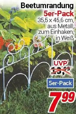 CENTERSHOP Beetumrandung Angebot