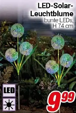 CENTERSHOP LED-Solar Leuchtblume Angebot