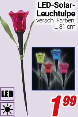 CENTERSHOP LED-Solar Leuchtulpe Angebot