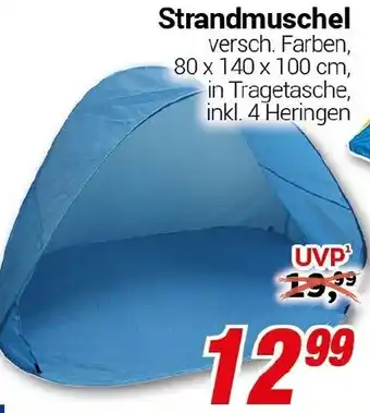 CENTERSHOP Strandmuschel Angebot