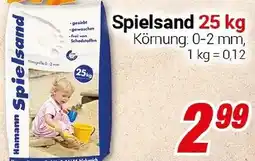 CENTERSHOP Spielsand Angebot