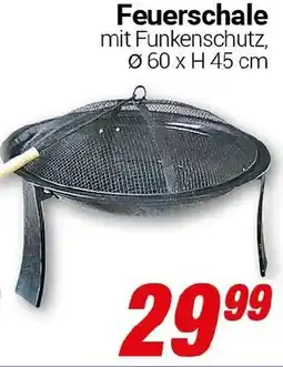 CENTERSHOP Feuerschale Angebot