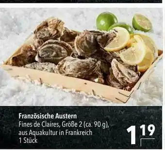 CITTI Markt Französische Austern Angebot