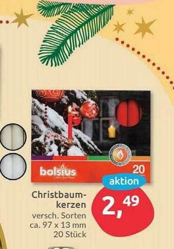 Budni Bolsius Christbaumkerzen Angebot