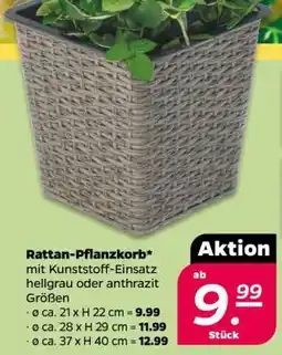 NETTO Rattan-Pflanzkorb Angebot